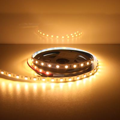 China LANDSCAPE factory price 12V 24V smd 3528 3014 5630 5050 2835 flexible white rgb led strip light for sale