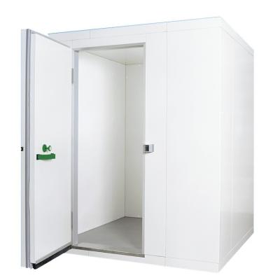 China Cold Storage Room Freezer Room Cold Room Storage Freezer Panel Cabinet for sale