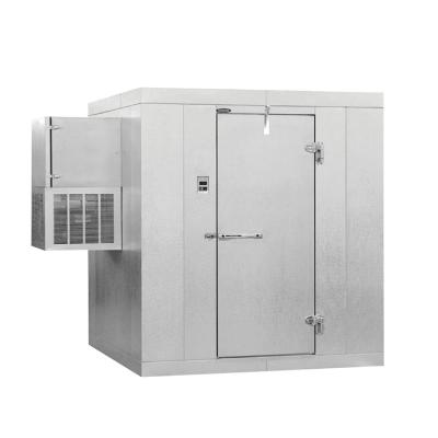 China Cold Storage Room Freezer Room Banana Ripener Blast Freezer For Fish Camara De Frio for sale