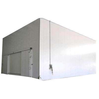 China Vegetable and Fruit Freezers Cooler Cold Storage Room Freezer Room Sale for sale