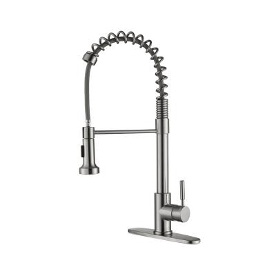 China Contemporary Brushed Nickel Contemporary Luxury Double Feature Sink Kitchen Faucet Single Fashion Handle for sale