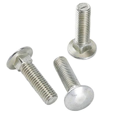 China Hot Selling Stainless Steel Trolley Bolts Half Round Head Square Neck Bolts Trolley Bolts for sale