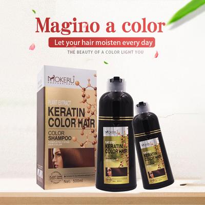 China Plant Extract Keratin Color Shining Shampoo Fully Dyed Hair Color Suitable For Dry Yellow And Gray Hair 500ml for sale