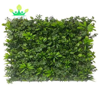 China Long Lasting Grass Wall Panel 50x50cm Grass Backdrop Greenery Wall Panel Pack of 4 Boxwood Hedge Wall Panels With UV Protection for sale