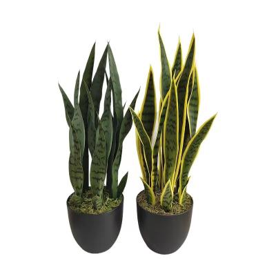 China Environmental Friendly Faux Real Touch Artificial Snake Plant In Pot With Indoor Stand Home Decor for sale