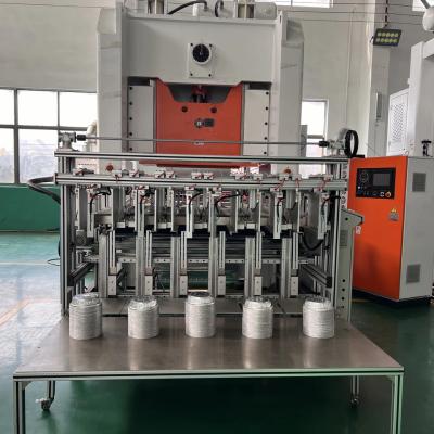 Cina Macchina per la produzione di piastre di alluminio per posate usa e getta completamente automatica LK-T80 in vendita