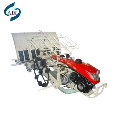 China Seed Planting Machine Factory Supply 6 Row Hand Rice Tiller Price For Sale for sale