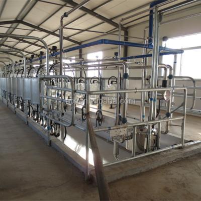 China Full Automatic Milking Parlor Milking Parlor High Quality Stainless Steel for sale