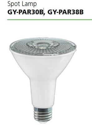 China El DOB Dimmable LED de GY-PAR30B/de GY-PAR38B pone de relieve 12W/15W con la vivienda plástica de aluminio en venta