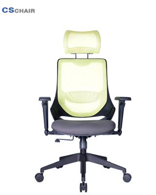 China Newcomer Comfortable Ergonomic Lumbar Supported High Back Mesh Office Chair Adjustable (Height) for sale