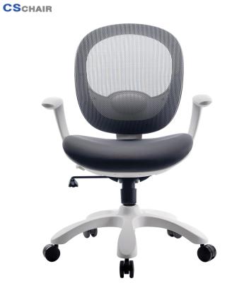 China (Size) Multi Function Adjustable Full Mesh Executive Office Chair for sale