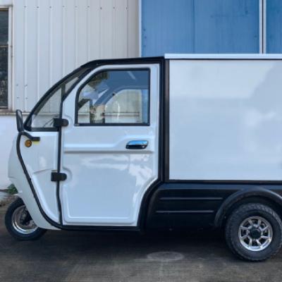 China Adult EEC 3 wheel cargo tricycle enclosed electric tricycle electric tricycle for sale