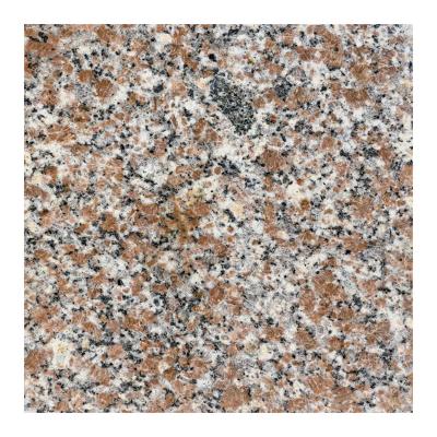 China China Modern Cheap Light Color Polished Red Granite Slab G635-1 Granite For House Decoration for sale