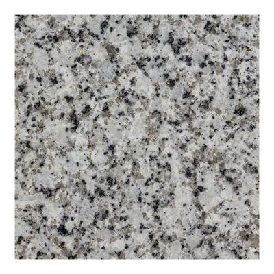 China Modern Wholesale White Granite With Elegant Veins Granite Floor Tiles And Natural Vanity Countertops At Wholesale Price for sale