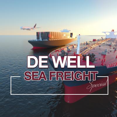 China Cheap De Well Warehouse FCL Cargos Sea Freight Agents Shipping From Shenzhen China To LOS ANGELES CA From China To USA Warehousing DDP for sale