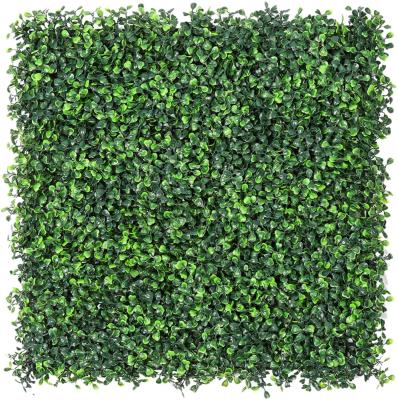 China Really Feel the 50*50cm Garden Wall Hanging Synthetic Grass Artificial Plants for Wall Decoration Plant Wall Artificial Boxwood Panels for sale