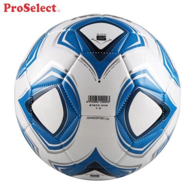 China TPU Proselect Customized International Globe Soccer for sale