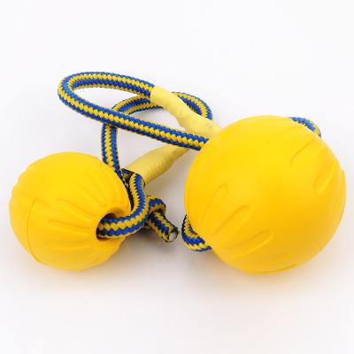 China Viable Natural EVA Floating Foam Ball on a Rope Dog Toy for Pet Training for sale