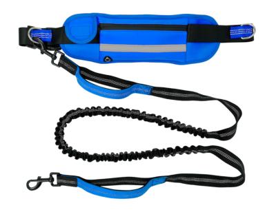 China Quick Release Hands Free Dog Leash For Belt Running Outdoor Walking Training Dog Accessories Include Waterproof Waist Pack And Nylon Retracta for sale