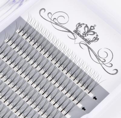 China Different Eyelash Extensions 2D 3D 4D 5D 6D 10D 20D Long Natural Short Rod Group for sale