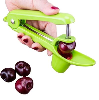 China Viable Hot Selling 430 Stainless Steel 430 Hand Held Fruit Cherry Date Corer Remove Pitter for sale