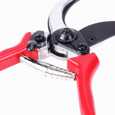 China Steel Anti-skid Handle Bypass Cutter Tools Tree Shears Garden Shears Pruners for sale