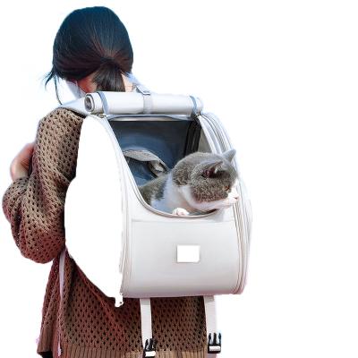 China Viable Meow Part Improved Cat Bag Multifunctional Cat Litter Backpack Moving Flysheet for sale