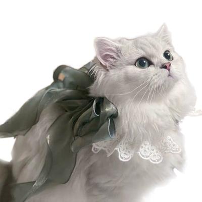 China Cat Dog Clothes Delicate Shiny Long Lace Collar Viable Handmade Style Cute Pet Neck Towel for sale