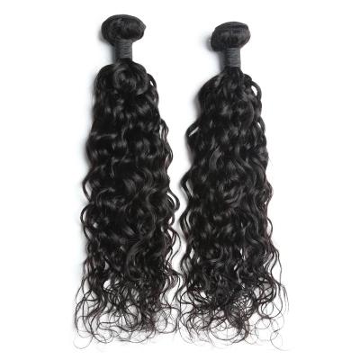 China Wholesale Natural Hair Bundles Best Water Color Water Wave Hair Bundles Indian 100% Human Hair Promotion Cuticle Aligned Hair Bundle Extensions for sale