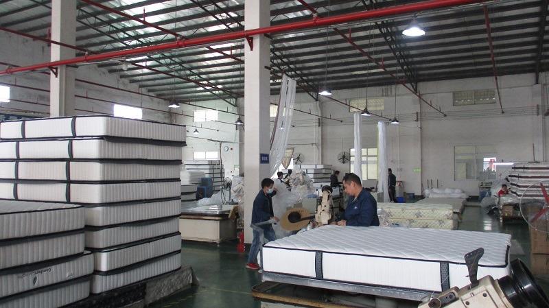 Verified China supplier - Foshan Ruixin Non Woven Co., Ltd.