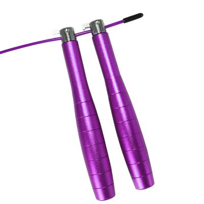 China Newly Durable Jump Rope With Weight Jump Rope Set Equipment Heavy Steel Jump Rope for sale