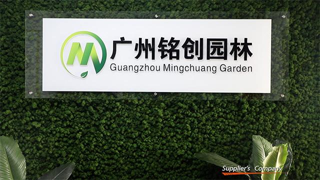 Verified China supplier - Guangzhou Mingchuang Garden Landscape Co., Ltd.