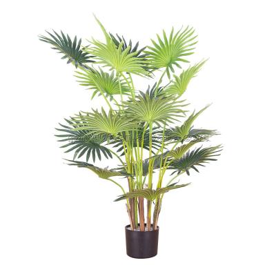 China Mingchuang Materials Plants Outdoor Materials New Design Eco-friendly Bonsai Large Artificial Palm Tree And Indoor for sale