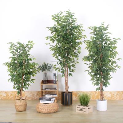 China Beautiful Hot Sales in Artificial Banyan Tree Bonsai Plants Plant Artificial Tree Ficus for sale