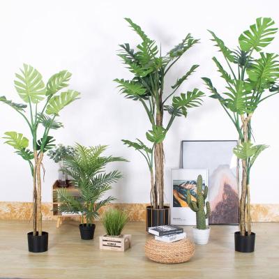 China Environmental Friendly 2m Artificial Tropical Plant Monstera Bonsai Tree Decorative Plant With Cement Pot For Garden Hotel Hot Sale for sale