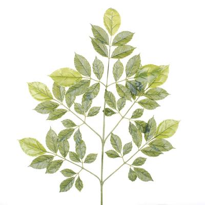 China High Simulation Variety Artificial Tree Branch Leaves Decorative Artificial Leaf Branch For Tee Trunk Use for sale