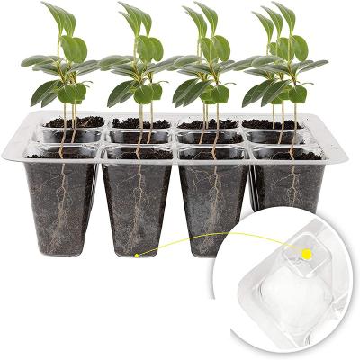 China Indoor Growing Plants Cultivating System Urban Hydroponic Shallow Agriculture Flower Plastic Pot Nursery for sale