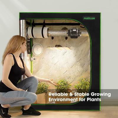 China Kit Plant Grow Tent For Custom Viable Complete Weed Complete Weed Indoor Plant Grow for sale