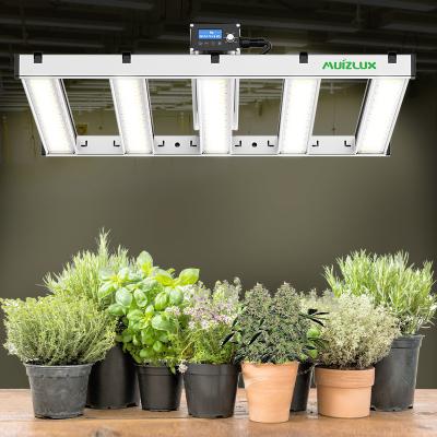 China Seed Starting High Power Commercial Indoor Full Spectrum For Horticulture Lm301b Vertical Grow Light for sale