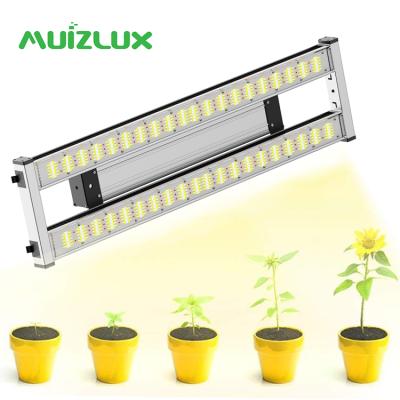 China Seed Seed Growing MUIZLUX Newcomers Indoor Cob Sectrum Full Bar Plant Grow Light Horticulture Greenhouse Garden for sale