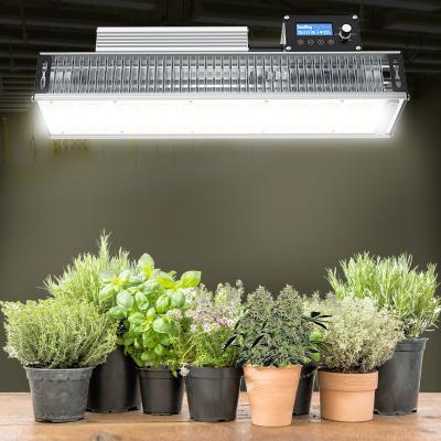 China Seed Seeding Professional Custom Full Spectrum Greenhouse Indoor Dimmable Sulight Cob Plant Led Light for sale