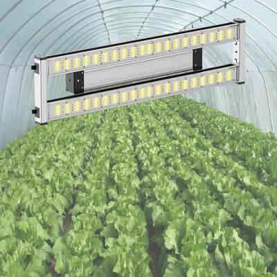 China Seed Starting Factory Wholesale 480w Samsung Indoor Plant Led Grow Light Bar Custom OEM ODM Led Lights for sale