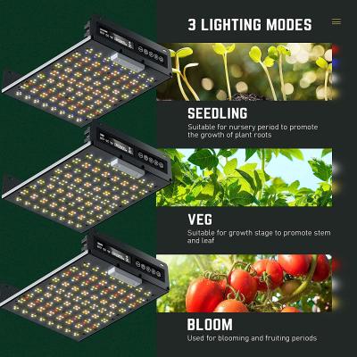 China Starting From Seed Customize Greenhouse 150 Watt Led To Grow Lights Quantum Night Light Hydroponic Lighting for sale