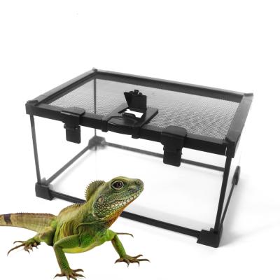 China Metal Pet Tropical Ecological Rainforest Ecological Tank Pet Turtle Lizard Horn Frog Water Turtle Amphibious Tank Lamp for sale