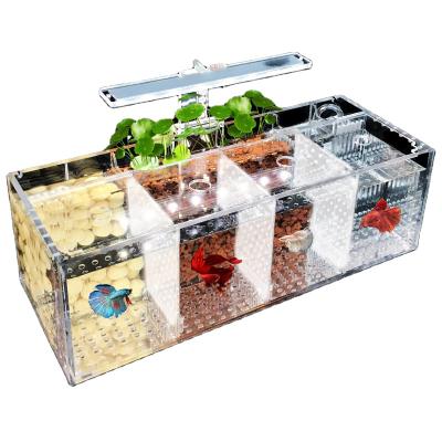 China Small 220V Betta Fish Tank Acrylic Ecological Aquarium Tank Breeding Incubator Desktop Isolation Waterless Box Viable for sale