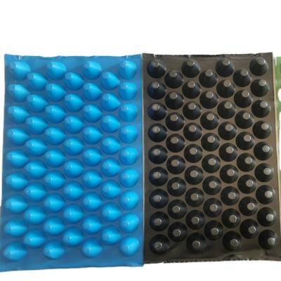 China Top Quality Modern Plastic Hydroponics Seed Tray 60 Holes Seedling Starter Trays for sale