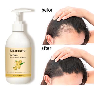 China Hot Sale Ginger Hair Shampoo Hair Growth Prevention Anti Hair Loss Soft Shampoo Soft Treatment for sale