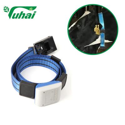 Chine Ceinture de pas de collier de vache en plastique Fournit aux animaux des données de marche Animaux Ceinture tissée pour l'alimentation du bétail à vendre