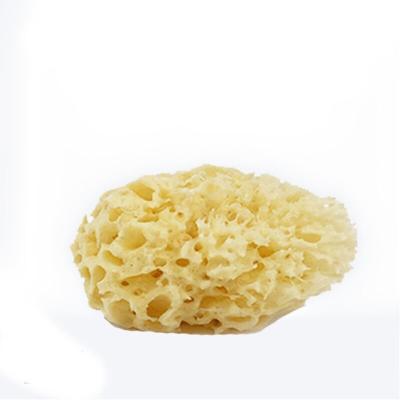 China Soft and Gentle Infant Bath Sponge for Sensitive Skin Natural Sponge Size Is 8*8*4.2CM And Weight Is 10Gram Yellow color for sale