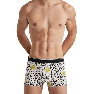 China Breathable Full Print Breathable Warm Custom Underwear For Men Comfortable Mens Boxer for sale